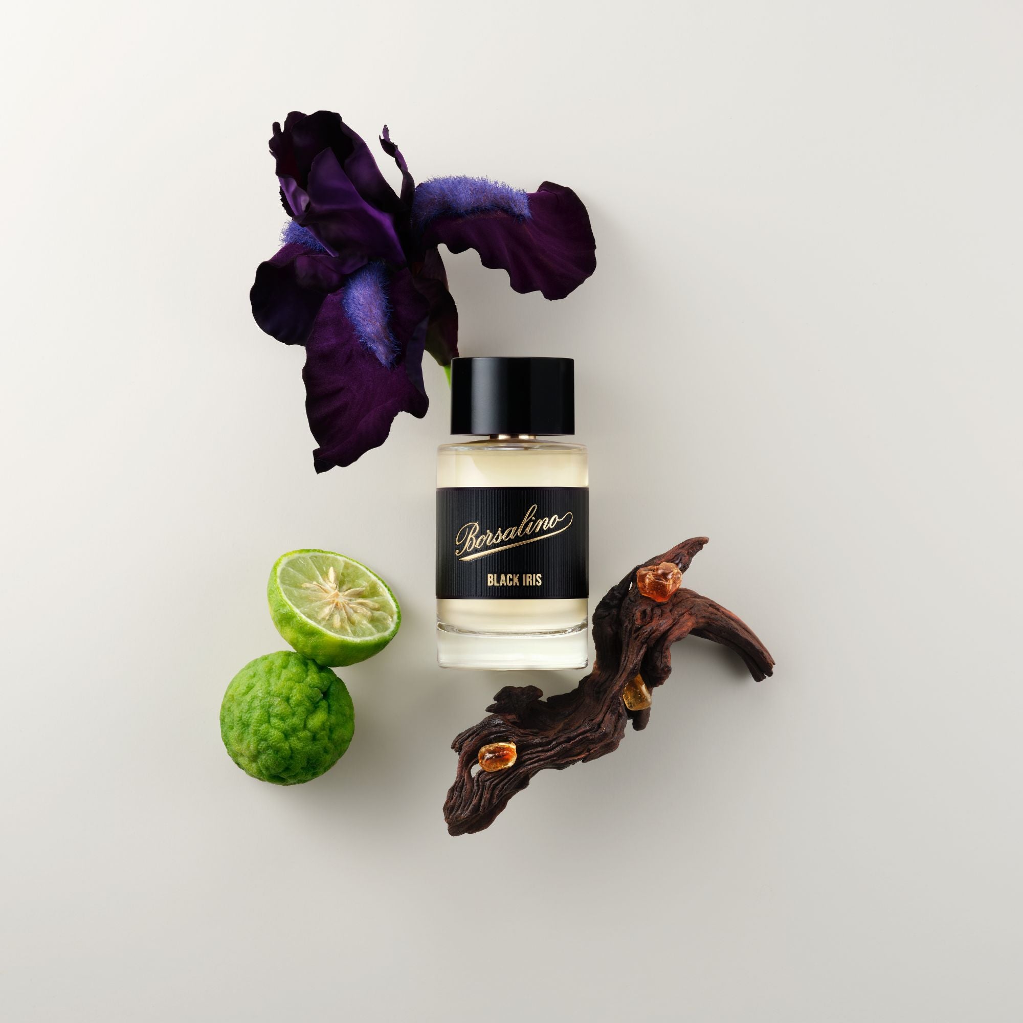 Black Iris